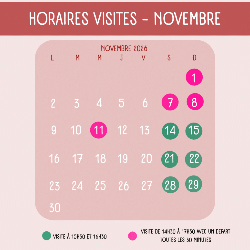 horaires visites novembre